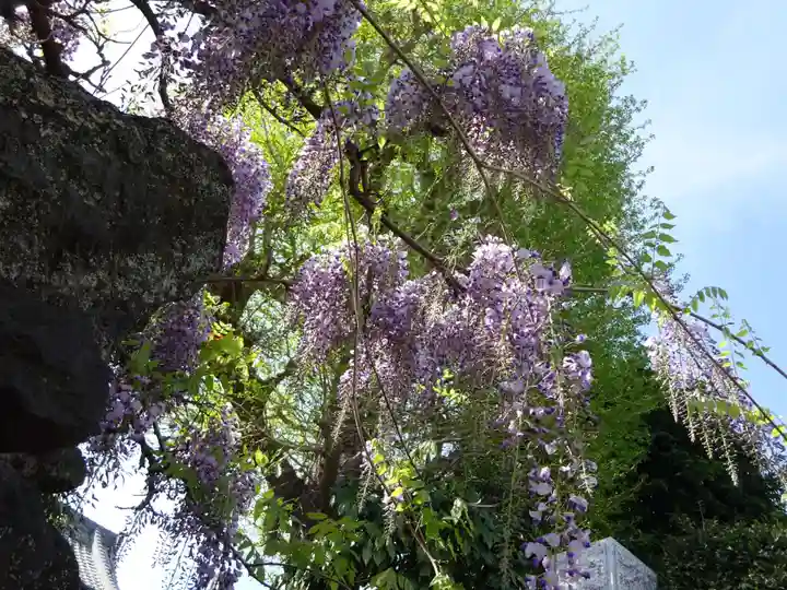 長福寺(神奈川県)
