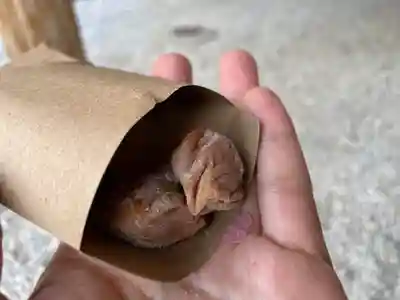 光明寺(埼玉県)