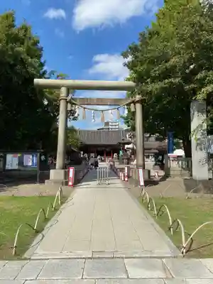 浅草神社の鳥居