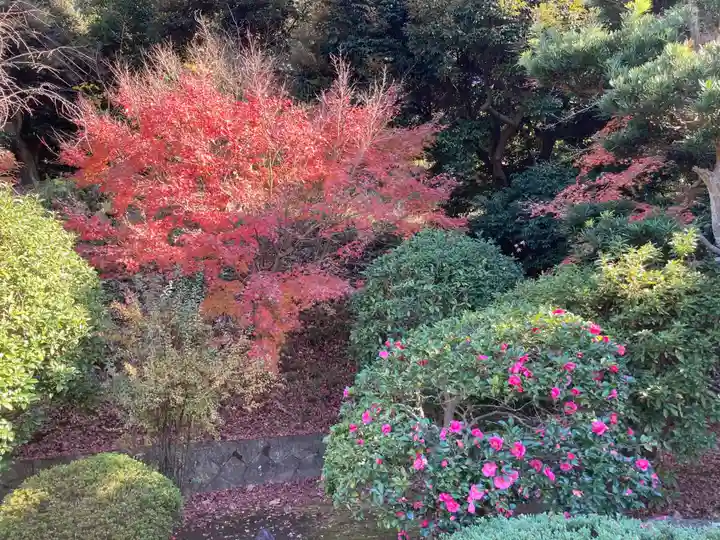 天嶽院(神奈川県)