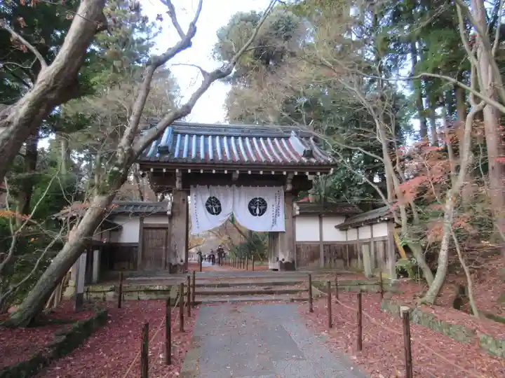 光明寺(粟生光明寺)の山門・神門