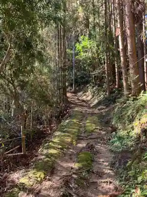 三ｹ谷神社の自然