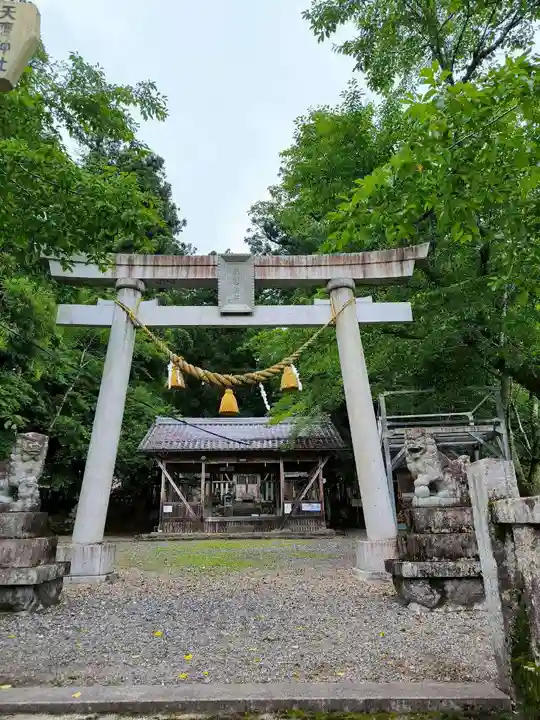 天鷹神社(岐阜県)