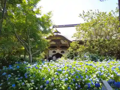 雲昌寺(秋田県)