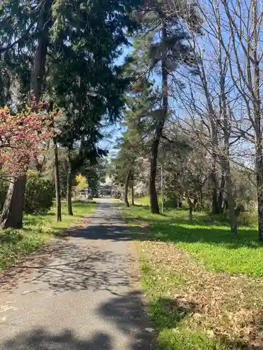 唐﨑神社(滋賀県)