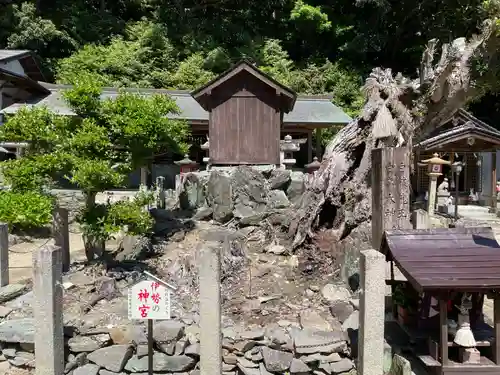 和歌浦天満宮(和歌山県)