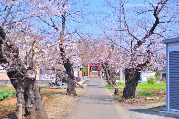 川和八幡神社(神奈川県)