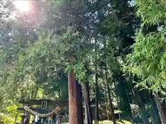 子檀嶺神社(長野県)