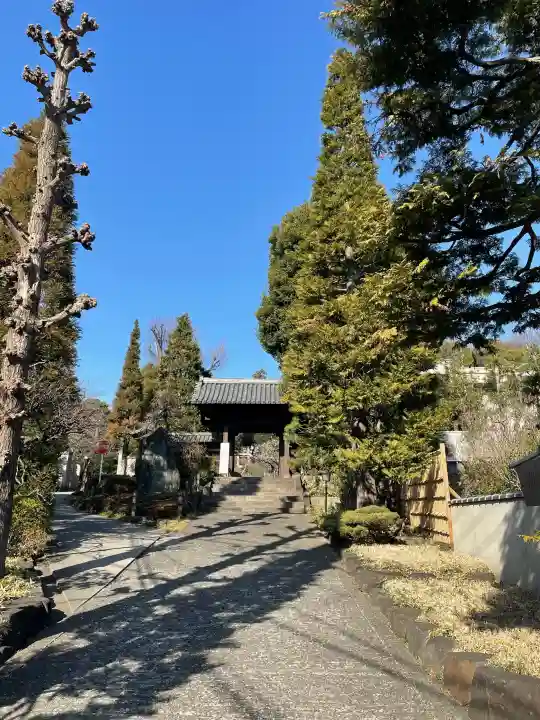東長谷寺 薬王院の{uncategorized: "未分類", other: "その他", undefined: "問題あり", building: "その他建物", grave: "お墓", sacred_gate: "鳥居", guardian: "狛犬", statue: "像", buddha: "仏像", history: "歴史", nature: "自然", garden: "庭園", animal: "動物", pagoda: "塔", temizu: "手水舎", mountain_gate: "山門・神門", sanctuary: "本殿・本堂", subordinate: "末社・摂社", art: "芸術", scenery: "景色", jizo: "地蔵", ema: "絵馬", goshuin: "御朱印", omikuji: "おみくじ", items: "授与品その他", amulet: "お守り", goshuincho: "御朱印帳", eats: "食事", festival: "お祭り", votive_dance: "神楽", shichigosan: "七五三参", wedding: "結婚式", experience: "体験その他", initially: "初詣", around: "周辺", anti_infection: "感染症対策"}