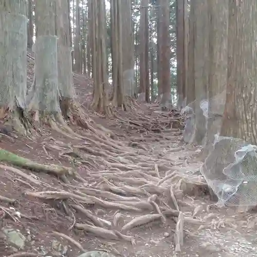 三峯神社奥宮(埼玉県)
