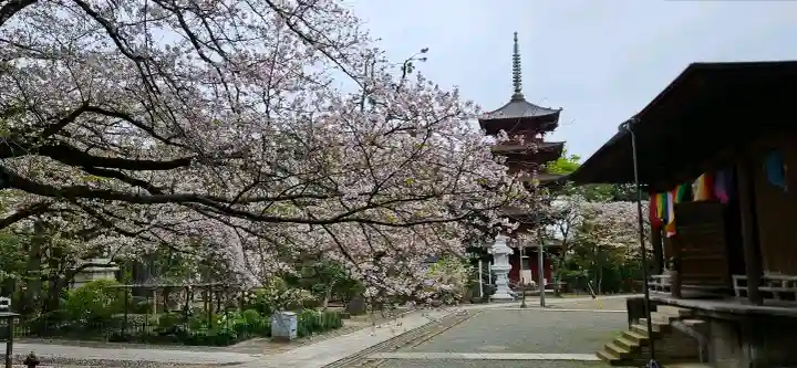 法華経寺の{uncategorized: "未分類", other: "その他", undefined: "問題あり", building: "その他建物", grave: "お墓", sacred_gate: "鳥居", guardian: "狛犬", statue: "像", buddha: "仏像", history: "歴史", nature: "自然", garden: "庭園", animal: "動物", pagoda: "塔", temizu: "手水舎", mountain_gate: "山門・神門", sanctuary: "本殿・本堂", subordinate: "末社・摂社", art: "芸術", scenery: "景色", jizo: "地蔵", ema: "絵馬", goshuin: "御朱印", omikuji: "おみくじ", items: "授与品その他", amulet: "お守り", goshuincho: "御朱印帳", eats: "食事", festival: "お祭り", votive_dance: "神楽", shichigosan: "七五三参", wedding: "結婚式", experience: "体験その他", initially: "初詣", around: "周辺", anti_infection: "感染症対策"}
