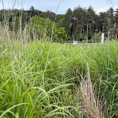 高司神社〜むすびの神の鎮まる社〜(福島県)