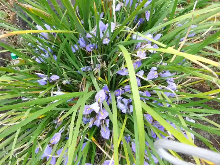 常昌院(神奈川県)