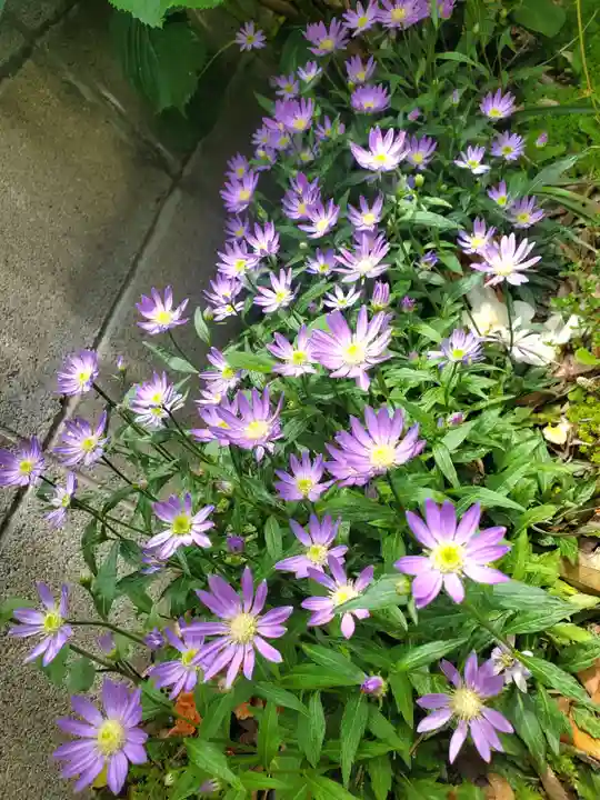 阿邪訶根神社(福島県)
