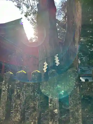 日光二荒山神社の自然