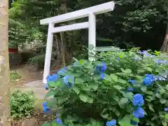 伊豆山神社の鳥居