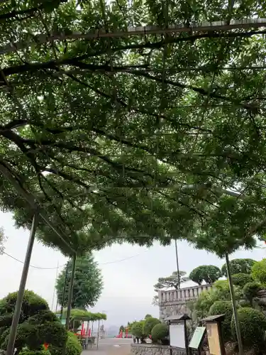 足利織姫神社のその他建物