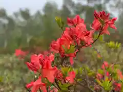 根子岳の自然