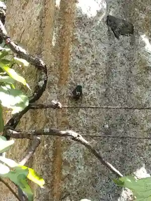 宝戒寺(神奈川県)