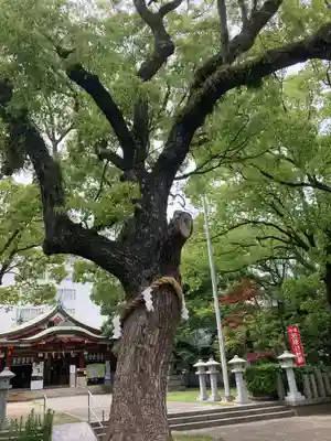 豊崎神社のその他建物