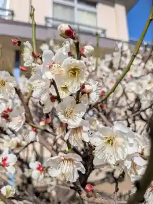 福王山  慈眼寺(東京都)
