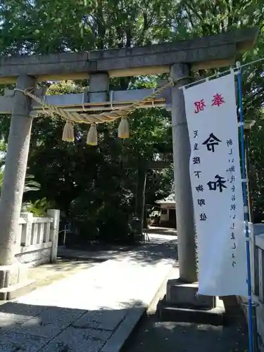 葛西神社の鳥居