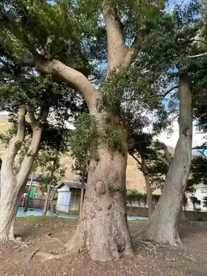 部田神社の自然