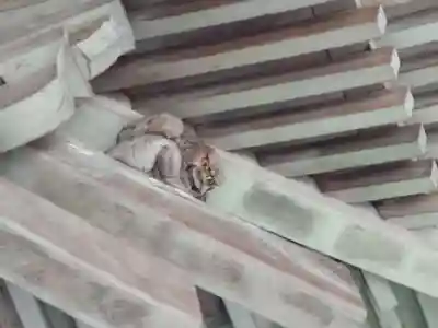 圓教寺のその他建物