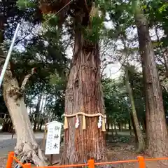 息栖神社の建物その他