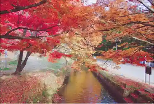 土津神社｜こどもと出世の神さまの景色