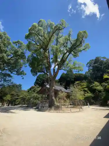 宝満宮竈門神社(福岡県)