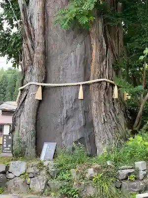 戸隠神社中社(長野県)