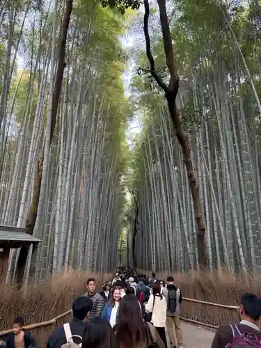 野宮神社(京都府)
