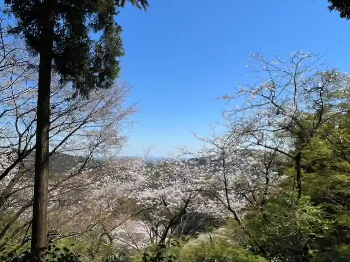 慈光寺(埼玉県)
