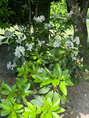 長泉院(埼玉県)