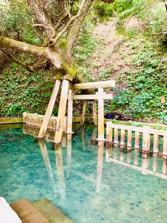 鹿島神宮(茨城県)