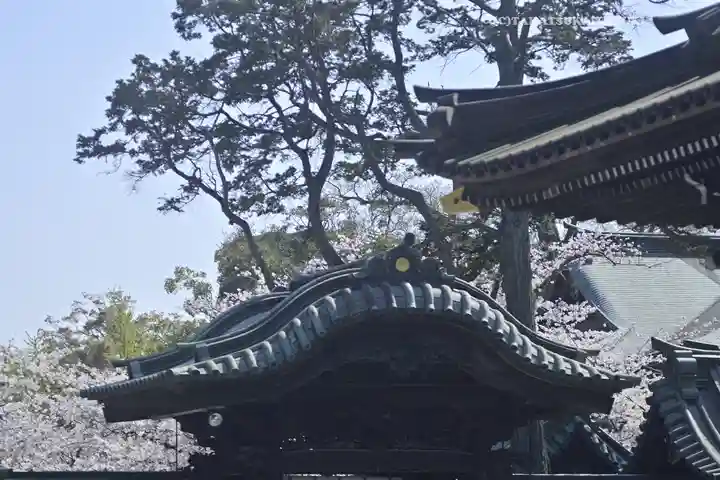 三嶋大社(静岡県)