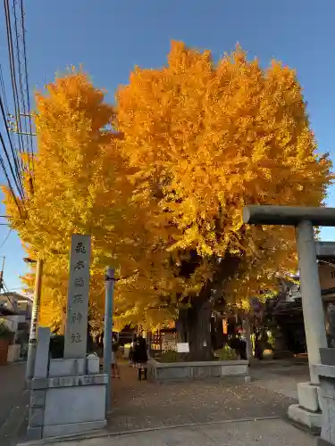 飛木稲荷神社(東京都)