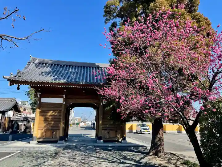同聚院の{uncategorized: "未分類", other: "その他", undefined: "問題あり", building: "その他建物", grave: "お墓", sacred_gate: "鳥居", guardian: "狛犬", statue: "像", buddha: "仏像", history: "歴史", nature: "自然", garden: "庭園", animal: "動物", pagoda: "塔", temizu: "手水舎", mountain_gate: "山門・神門", sanctuary: "本殿・本堂", subordinate: "末社・摂社", art: "芸術", scenery: "景色", jizo: "地蔵", ema: "絵馬", goshuin: "御朱印", omikuji: "おみくじ", items: "授与品その他", amulet: "お守り", goshuincho: "御朱印帳", eats: "食事", festival: "お祭り", votive_dance: "神楽", shichigosan: "七五三参", wedding: "結婚式", experience: "体験その他", initially: "初詣", around: "周辺", anti_infection: "感染症対策"}