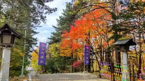 上川神社の景色