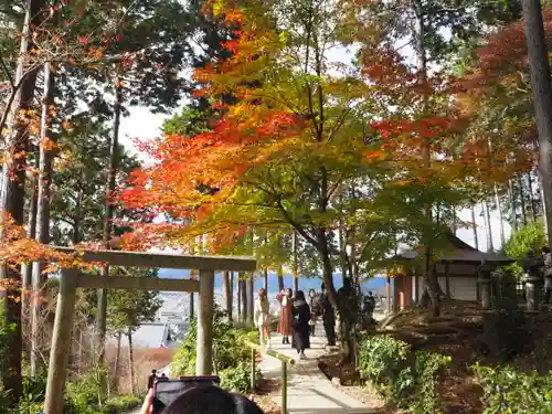 圓光寺の鳥居