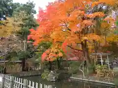 日高神社の庭園