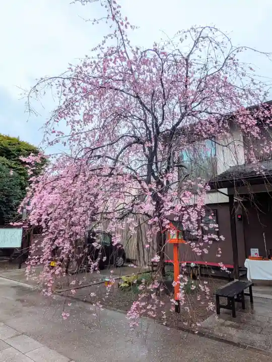 猿田彦神社(東京都)