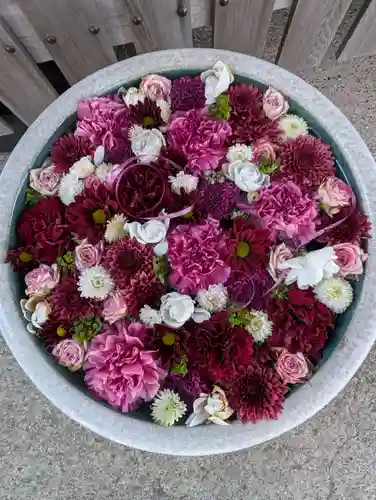 相模原氷川神社(神奈川県)