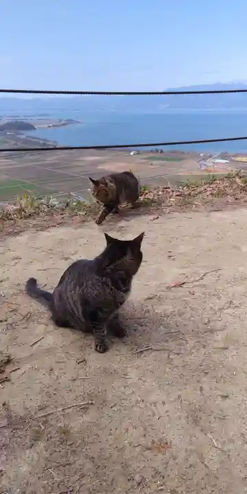 村雲御所瑞龍寺門跡の動物