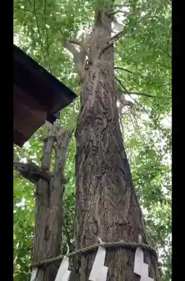 行田八幡神社(埼玉県)