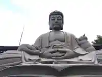 御誕生寺(猫寺)(福井県)