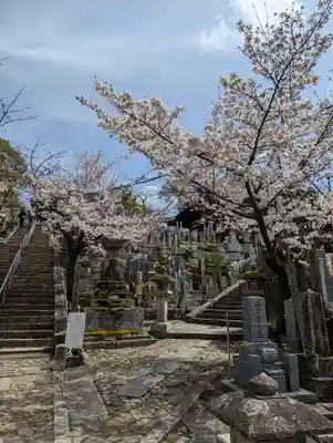くろ谷 金戒光明寺の自然