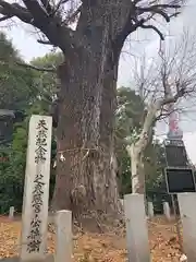 芝東照宮の自然