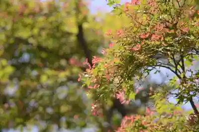 鷺森神社(京都府)